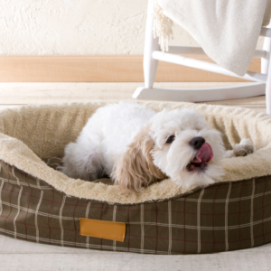 Cute puppy yawning in dog bed